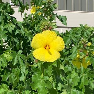 Meet your Posher, Elana